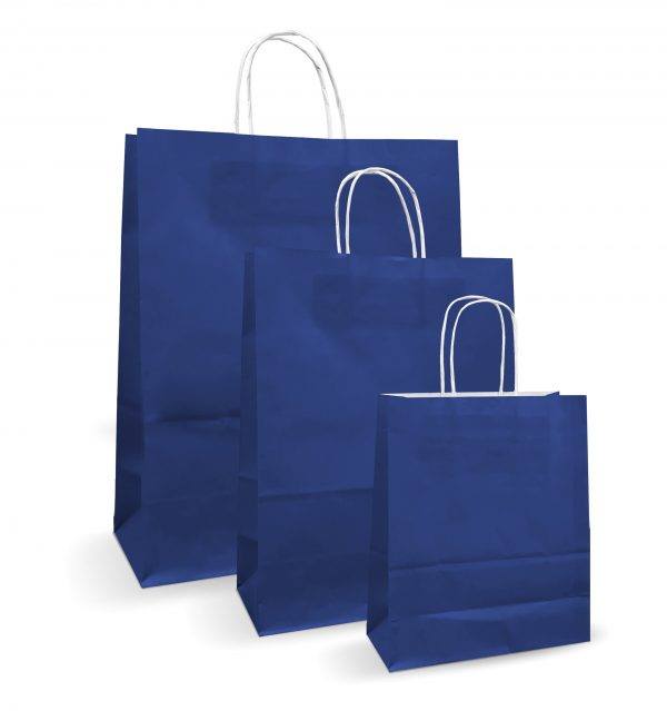 Blue Paper Carrier Bag