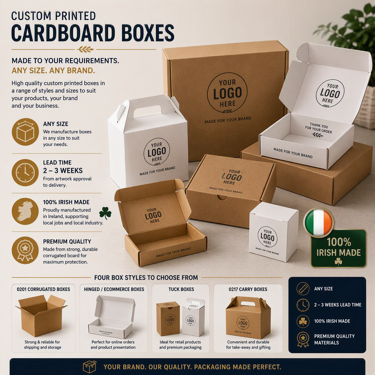 Carboard Branded Box Explainer)