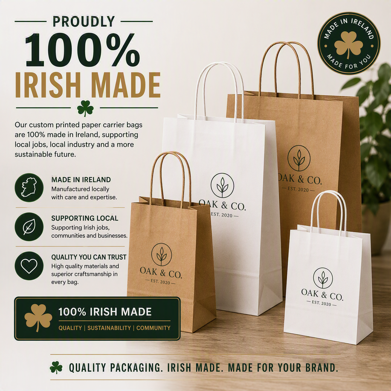 Branded paper Carrier Bag